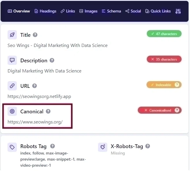 Netlify subdomain main domain canonical tag